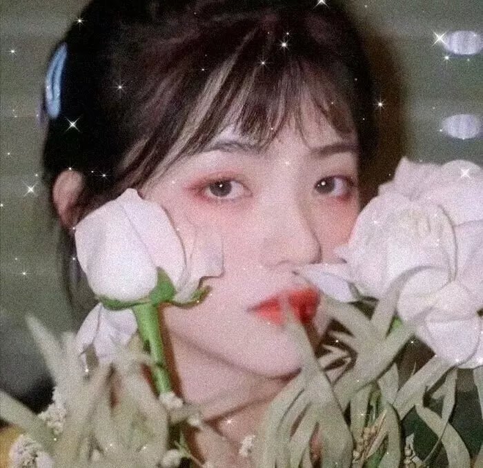 真假王爷